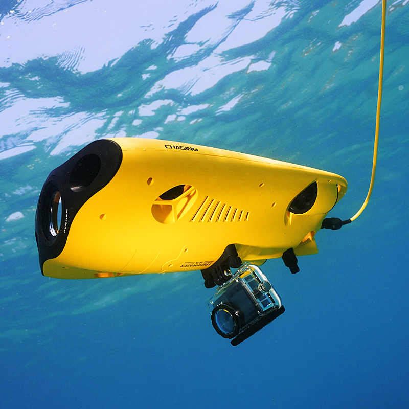 Equipo de rescate alvage puede - Fishing Equipment reseña y precio