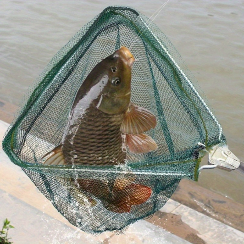 Red de Pesca Plegable Triangul - Landing Net Telescopic reseña y precio